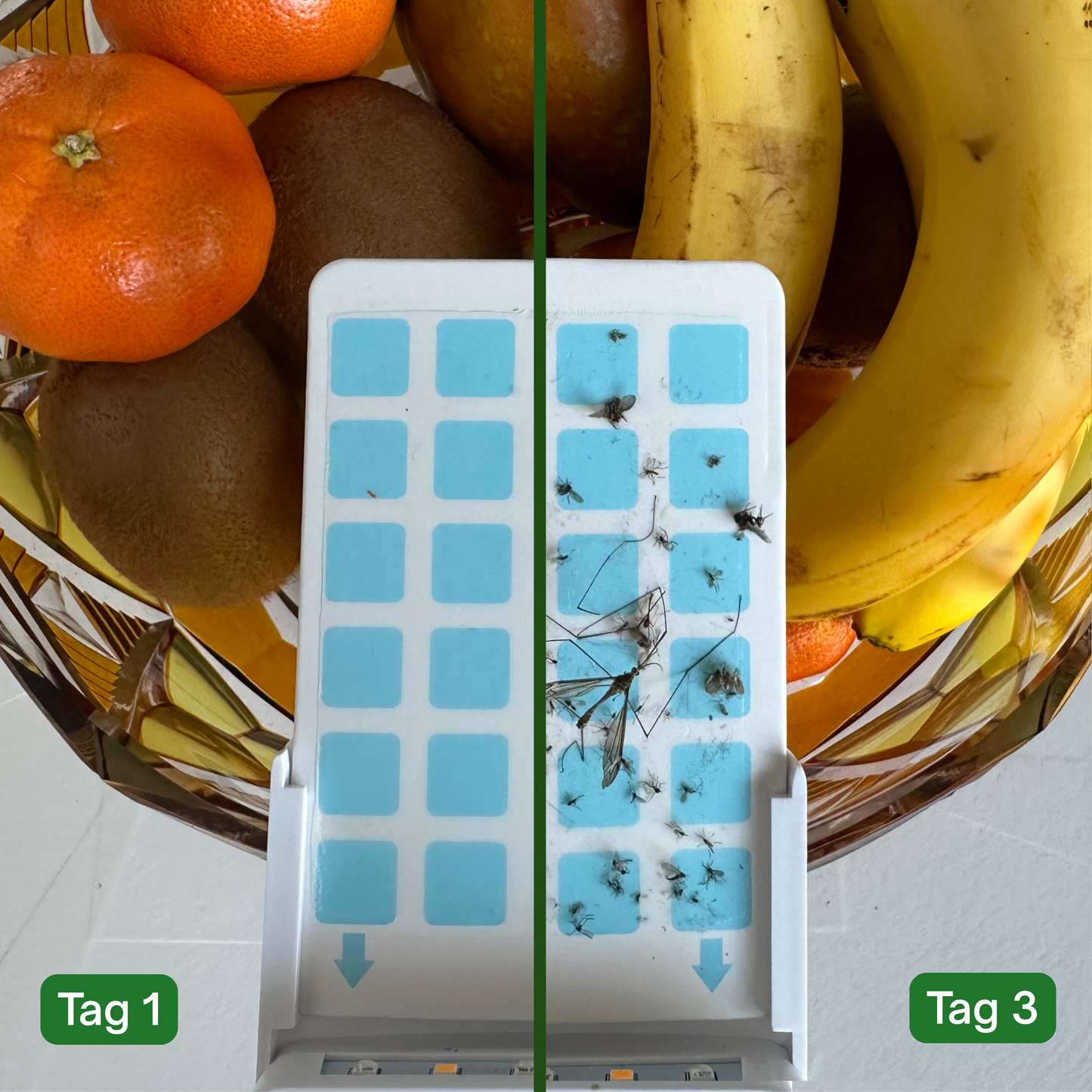 StopBugzz UV Insektenfalle