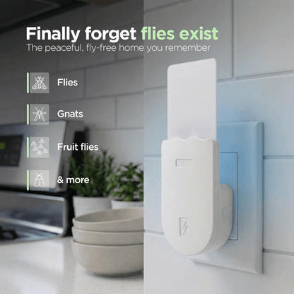 Flying Insect Trap