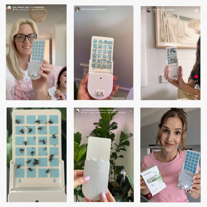 Fliegende Insektenfalle