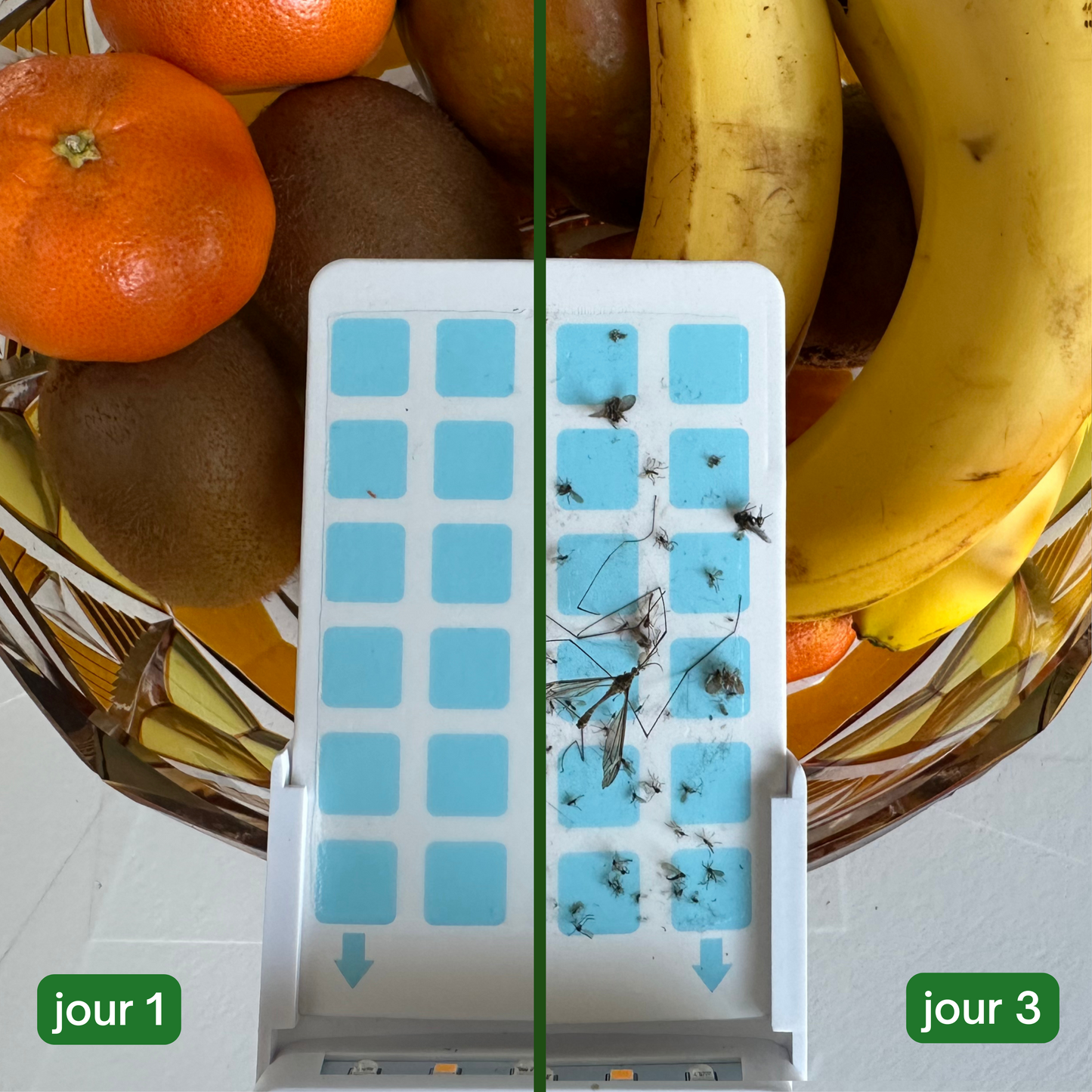StopBugzz 
Piège anti-insectes volants
