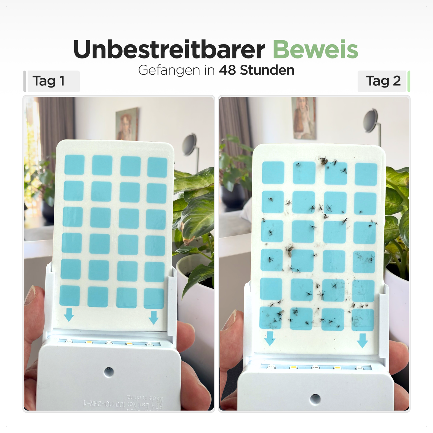 Fliegende Insektenfalle